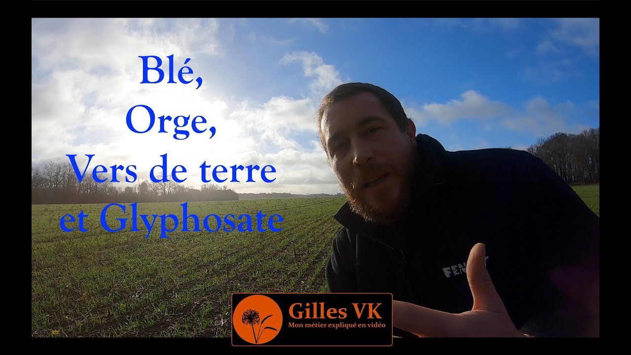 Blé, orge, vers de terre et Glyphosate