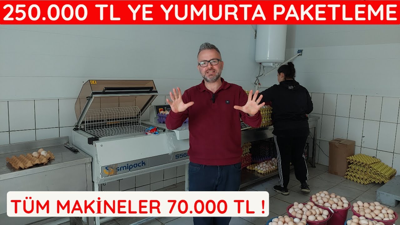 YUMURTA TOPLAMA VE PAKETLEME | MAKİNA PARKURU VE KURULUM MALİYETLERİ