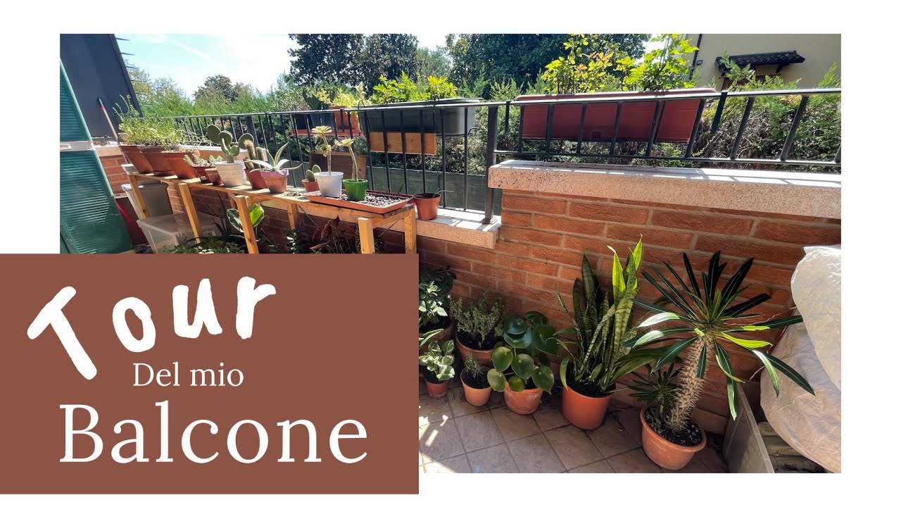 Tour in Balcone | Agosto 2022