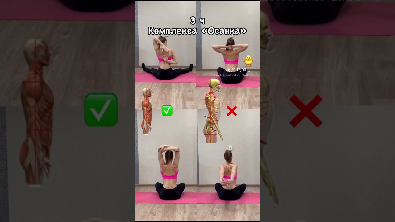 #bearing #stretching #trainingvideo #мобильность #осанкаупражнения #тренеронлайн #тренимсженей