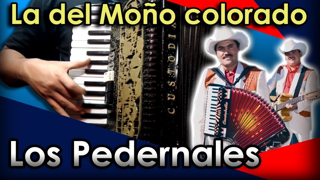 La del Moño Colorado - Los Pedernales - Acordeón de Teclas / Piano Tutorial