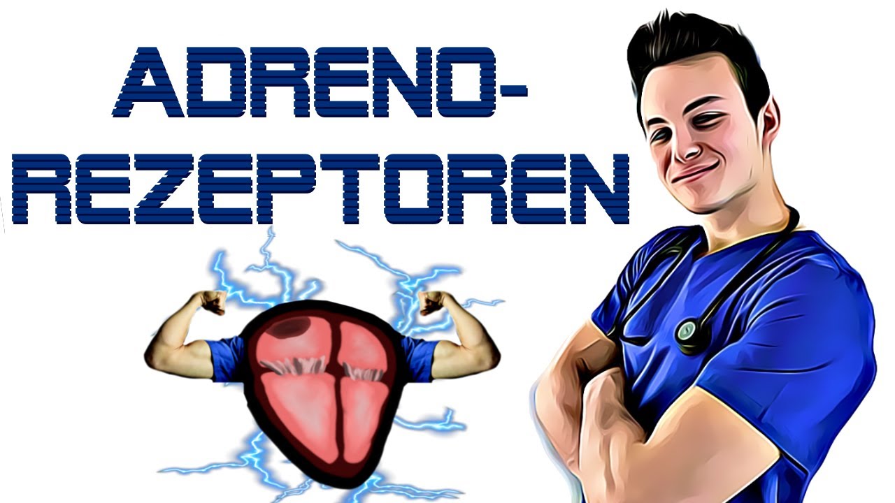 ADRENALIN und NORADRENALIN EINFACH ERKL&Auml;RT! Adrenozeptoren und Wirkung