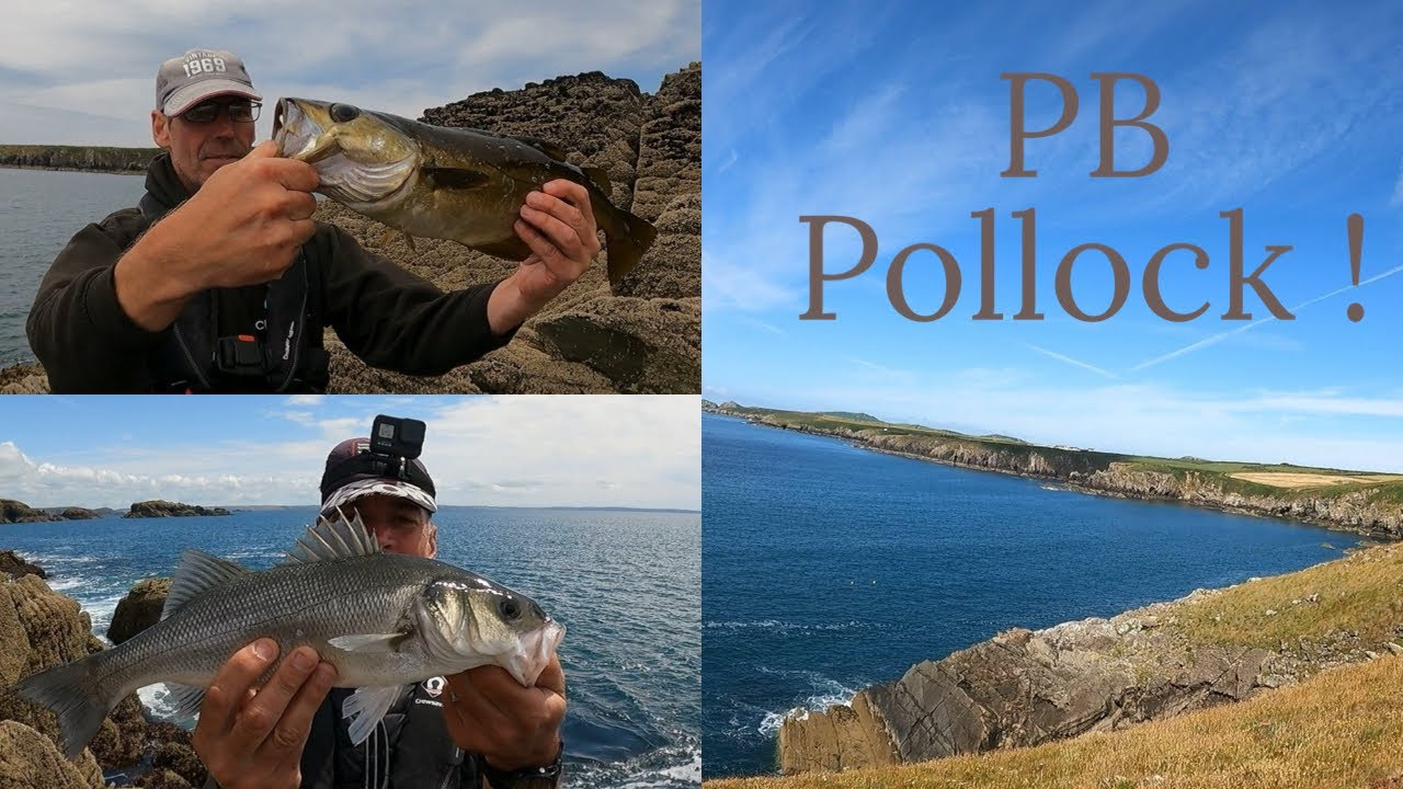 Fishing for Bass Pollock and Mackerel