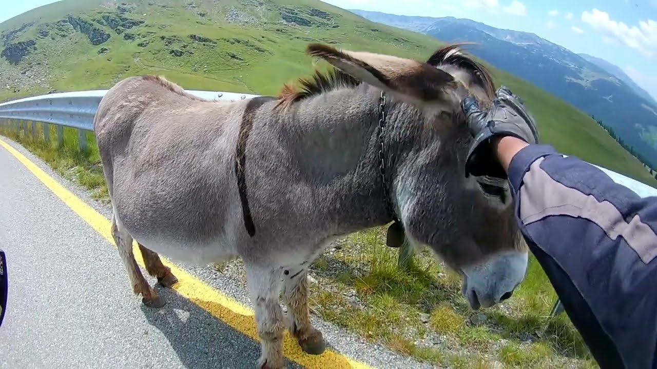 transalpina motoros túra 2024