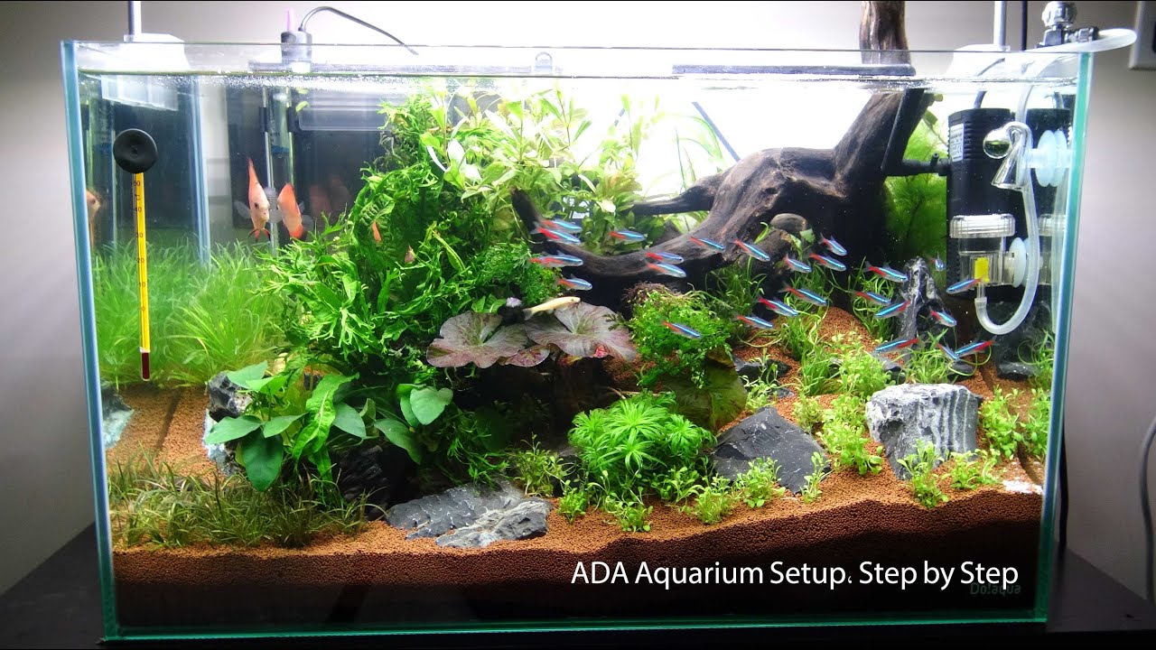 # عمل حوض للأسماك الزينة خطوة بـ خطوة | ADA Aquarium Setup Step by Step |