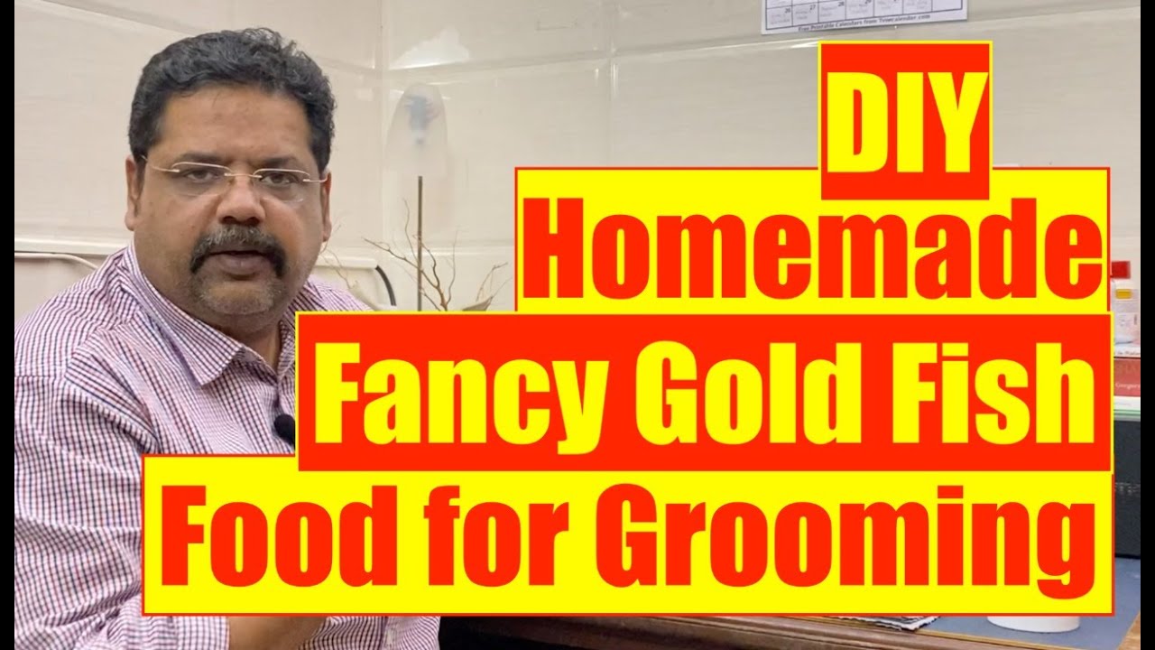 Aquarist World video | DIY Homemade Goldfish Food Review | Mayur Dev Not for all Aquarium fish