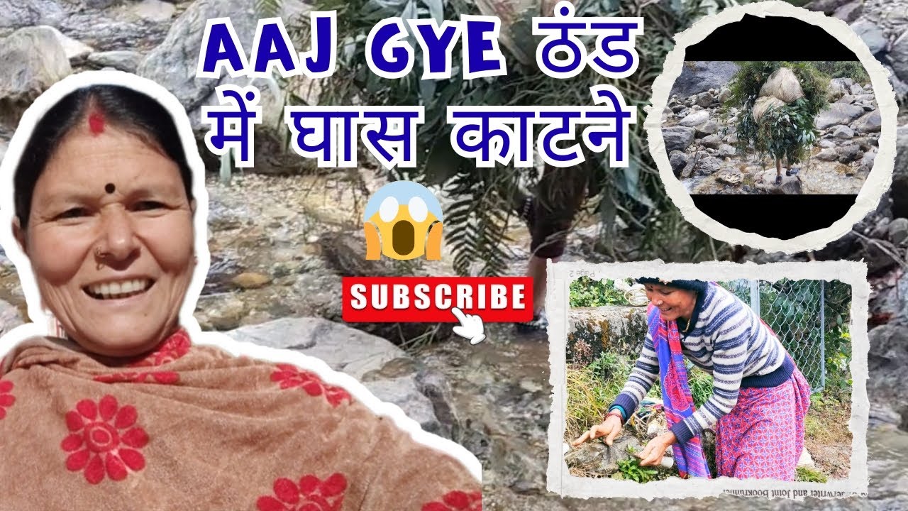 आज गए ठंड में घास काटने को😱❤️#pahadi saheli #pahadi #modernkumaun #minivlog #vlog #phadilifestyle 