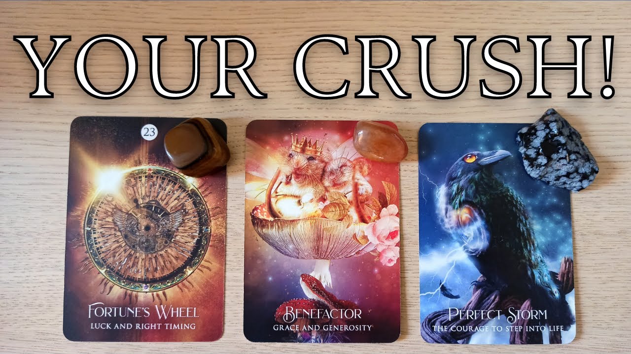 YOUR CRUSH! PICK A CARD TIMELESS TAROT READING
