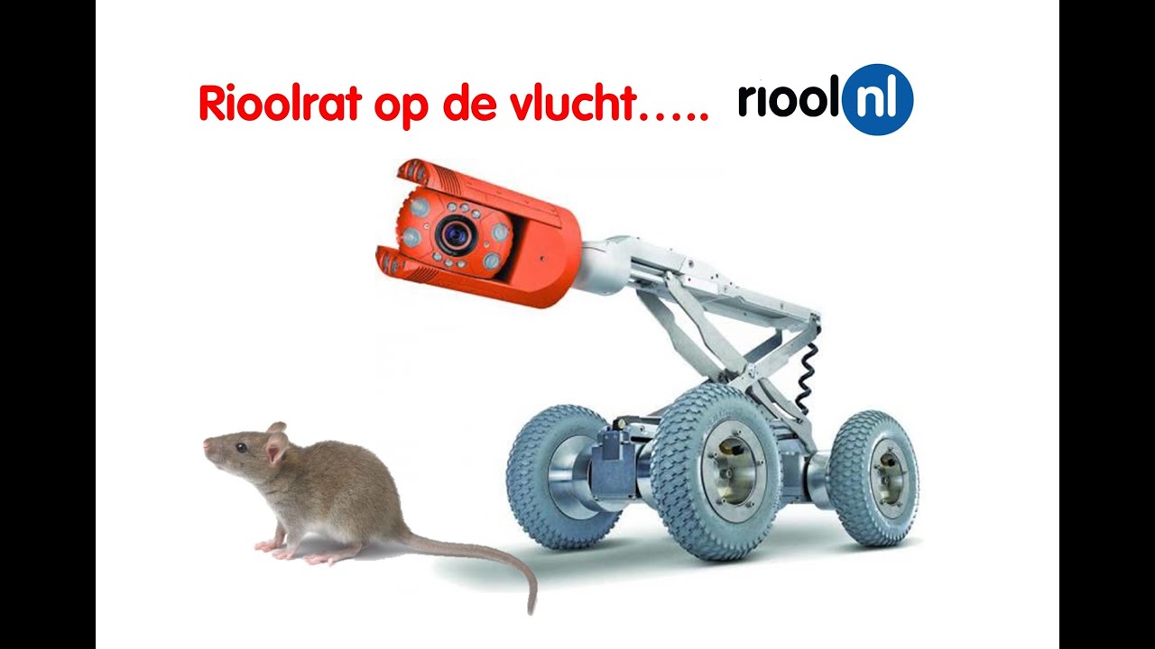 Angstige RIOOLRAT op de vlucht voor onze IBAK PANORAMO camera