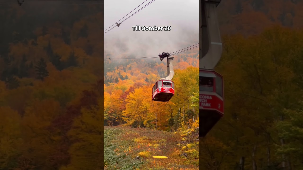 Cannon Mountain Aerial Tramway #newhampshire #fallfoliage #fall2024