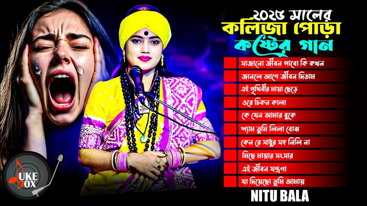 ২০২৫ সালের কলিজা পোড়া কষ্টের গান | Best Of Nitu Bala | Top 10 Audio Jukebox |