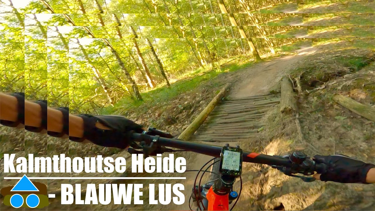 MTB Kalmthoutse Heide BLAUWE Lus | Volksabdij GRENSPARK Ossendrecht NL | (Review 2021)