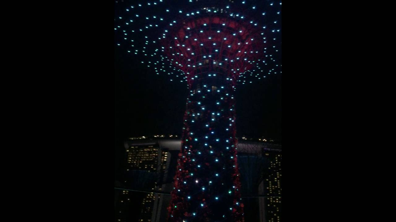 super tree led燈光秀
