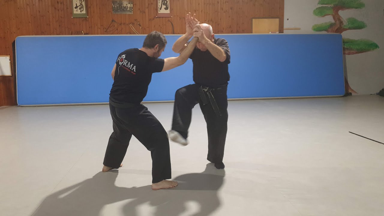 Gyokko Ryu HaneBi