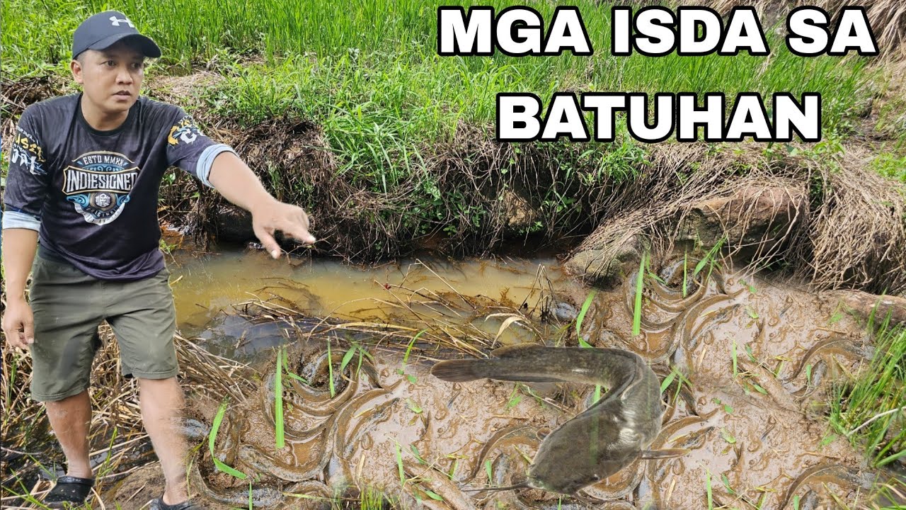 Huli ang mga isda sa ilalim ng Batohan...Pangunguha ng gulay at saging 
