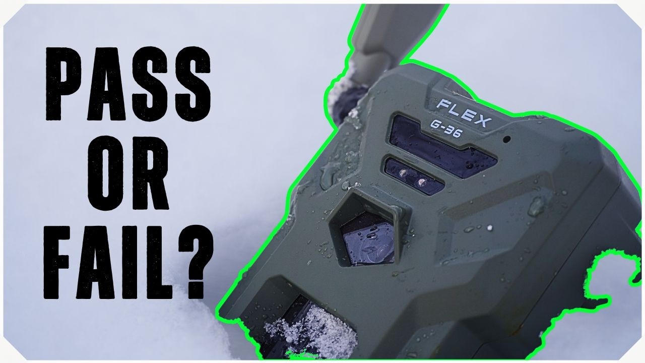 8 месяцев с фотоаппаратом SpyPoint Flex G36 | Суровая погода, нападения медведей и многое другое