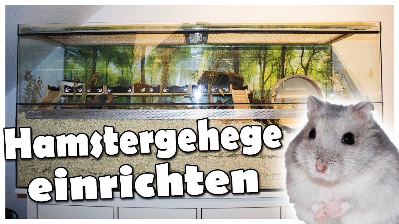 Hamstergehege / Nagerterrarium einrichten | 2021