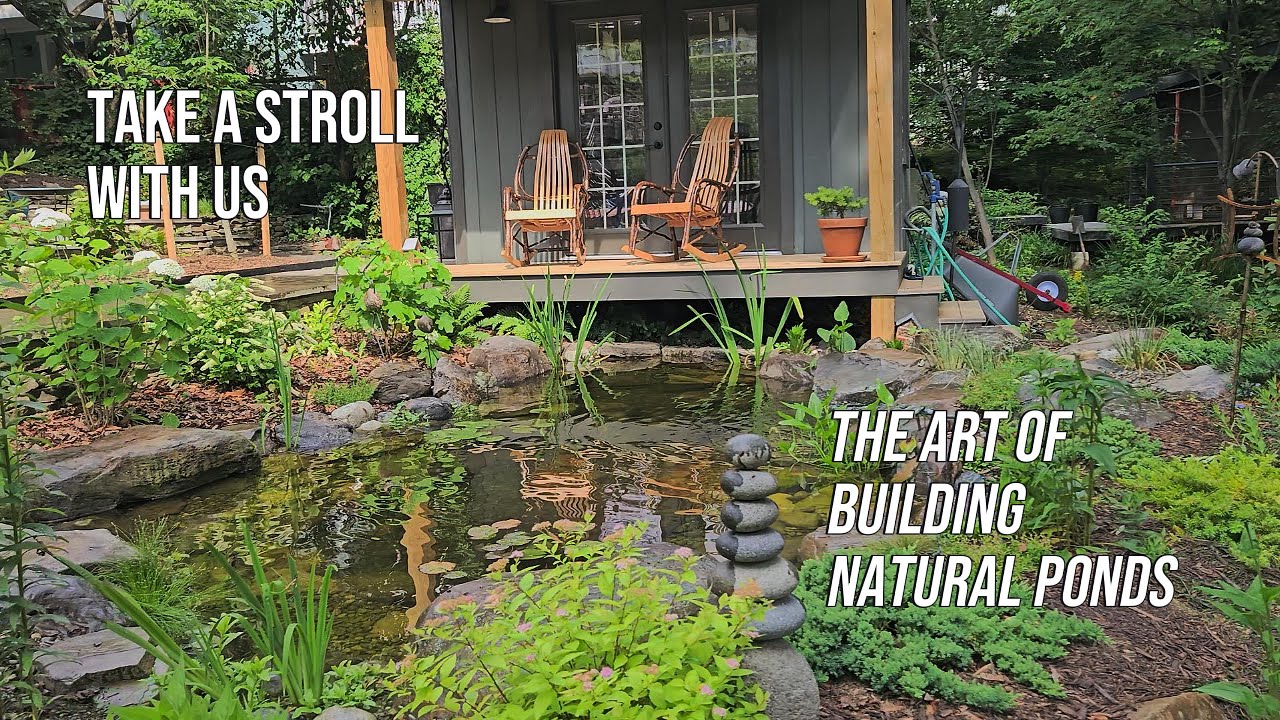 Taking A Stroll Through Our Latest Pond!