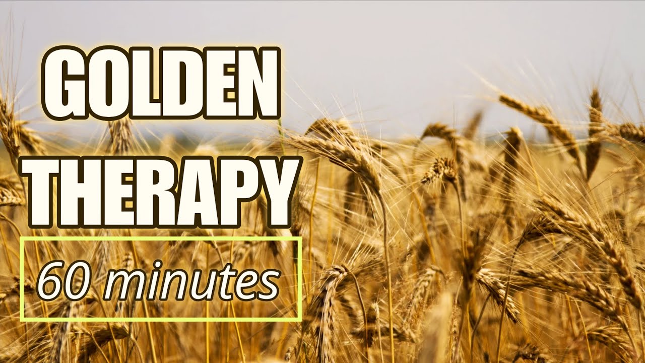 Golden Meadow Calm for Deep Sleep & Stress Relief | 1 Hour Relaxing Nature
