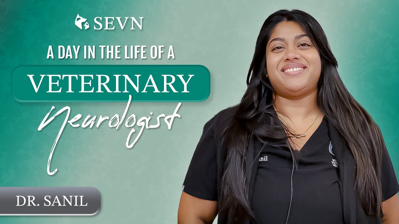 A Day in the Life of a Veterinary Neurologist || Dr. Sanil