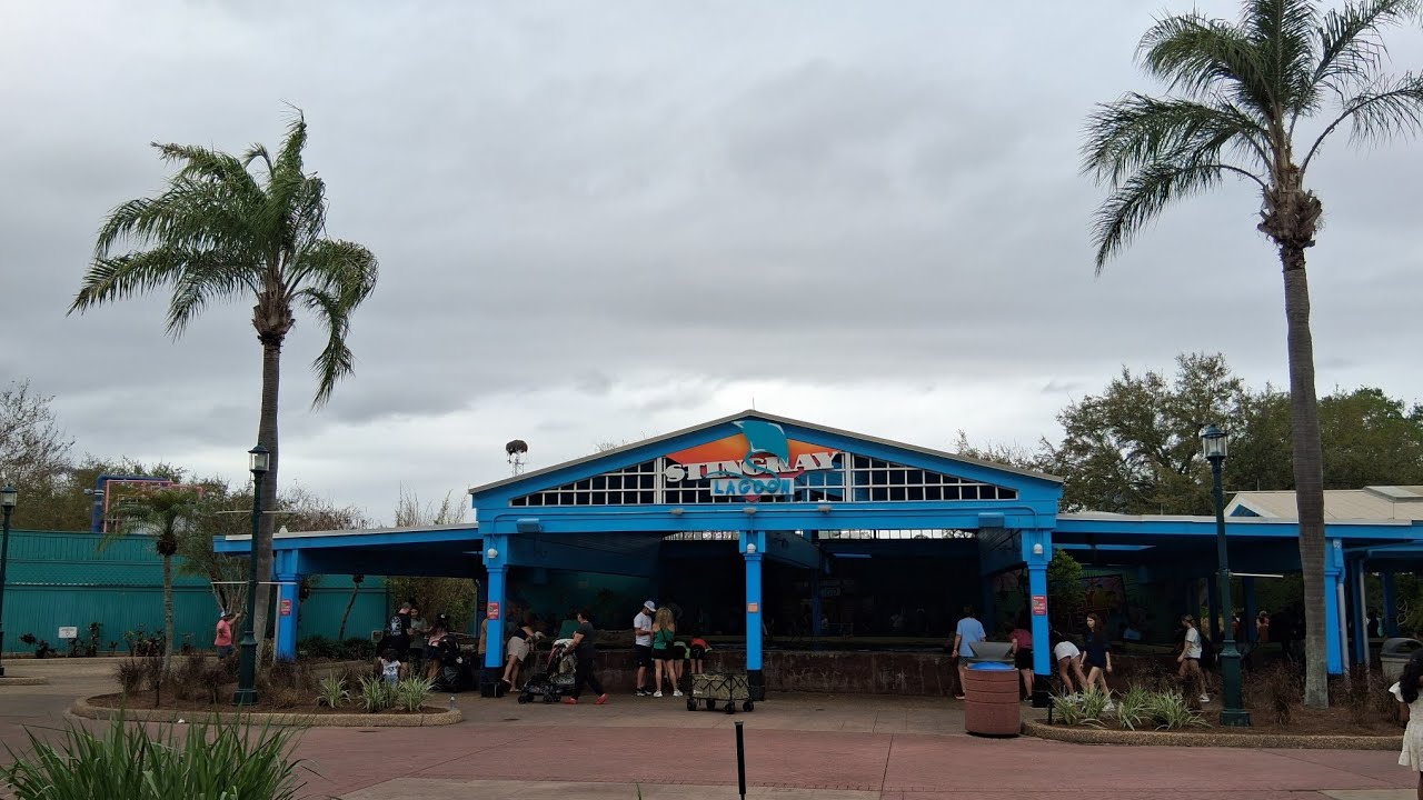 Seaworld Orlando Stingray Lagoon & The Dolphin Exhibit Walkthrough 2026