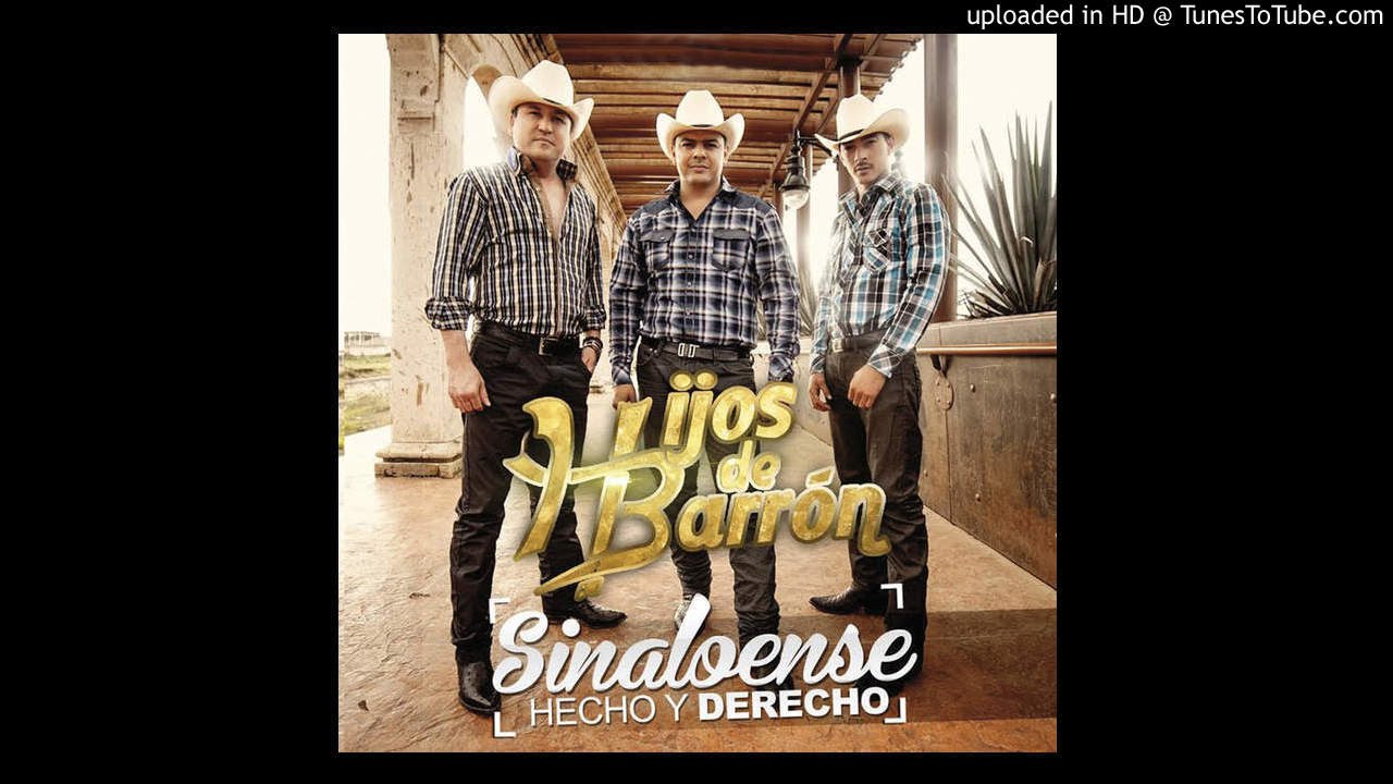 Cortinas Guindas- Hijos De Barron (2014)