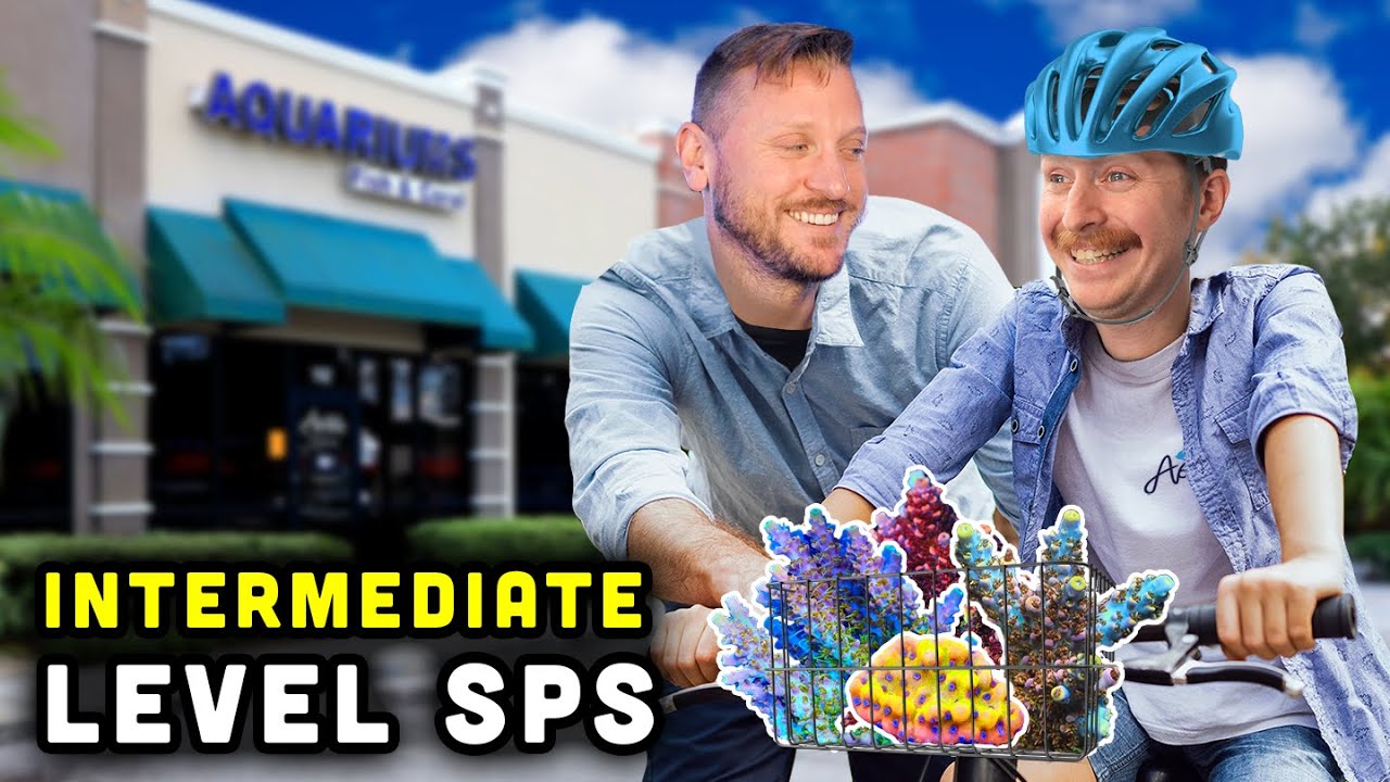 TSA's Top 10 Intermediate SPS!