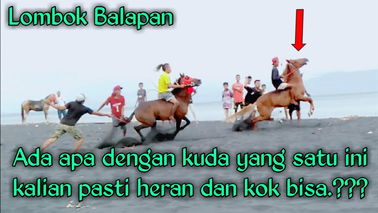 balap kuda || sungguh memalukan | buat suporternya malu dan kecewa berat