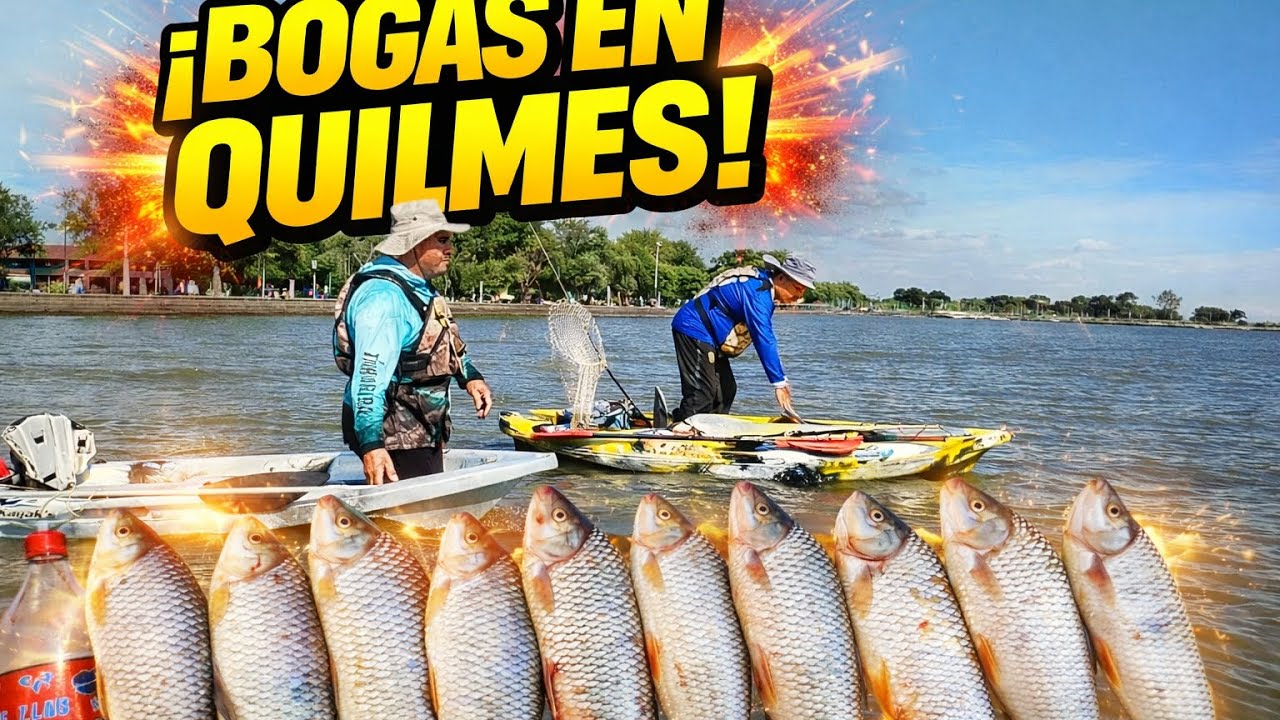 Bogas en Quilmes/pesca explosiva/