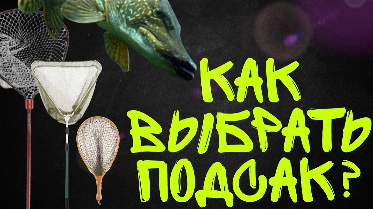 Как выбрать ПОДСАК ДЛЯ РЫБАЛКИ? Ручка, голова, сеть и другое