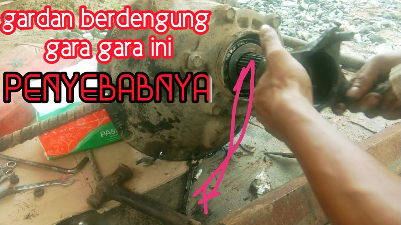 Mengatasi gardan berdengung !!stel gardan