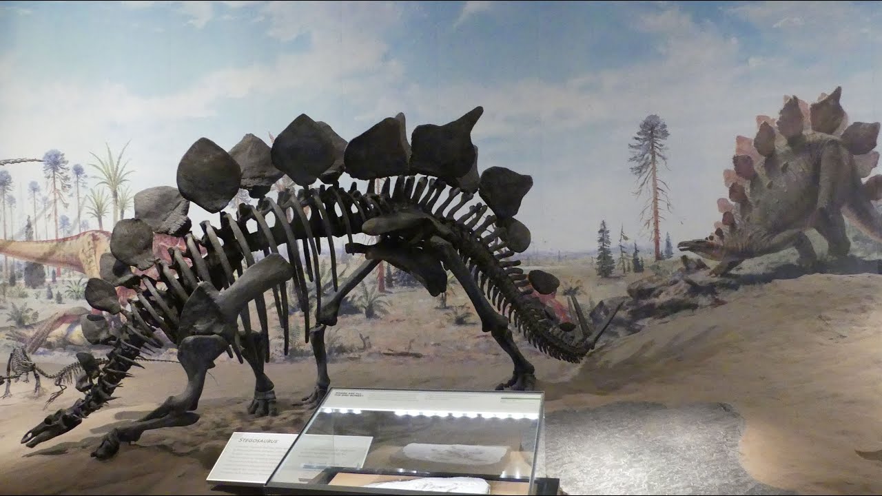 CANADA BADLANDS DINOSAURES