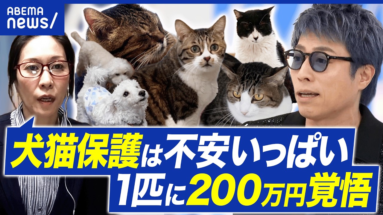 【犬猫保護】「一匹200万円の覚悟」赤字運営は当たり前？“生体販売”への規制は？｜アベプラ