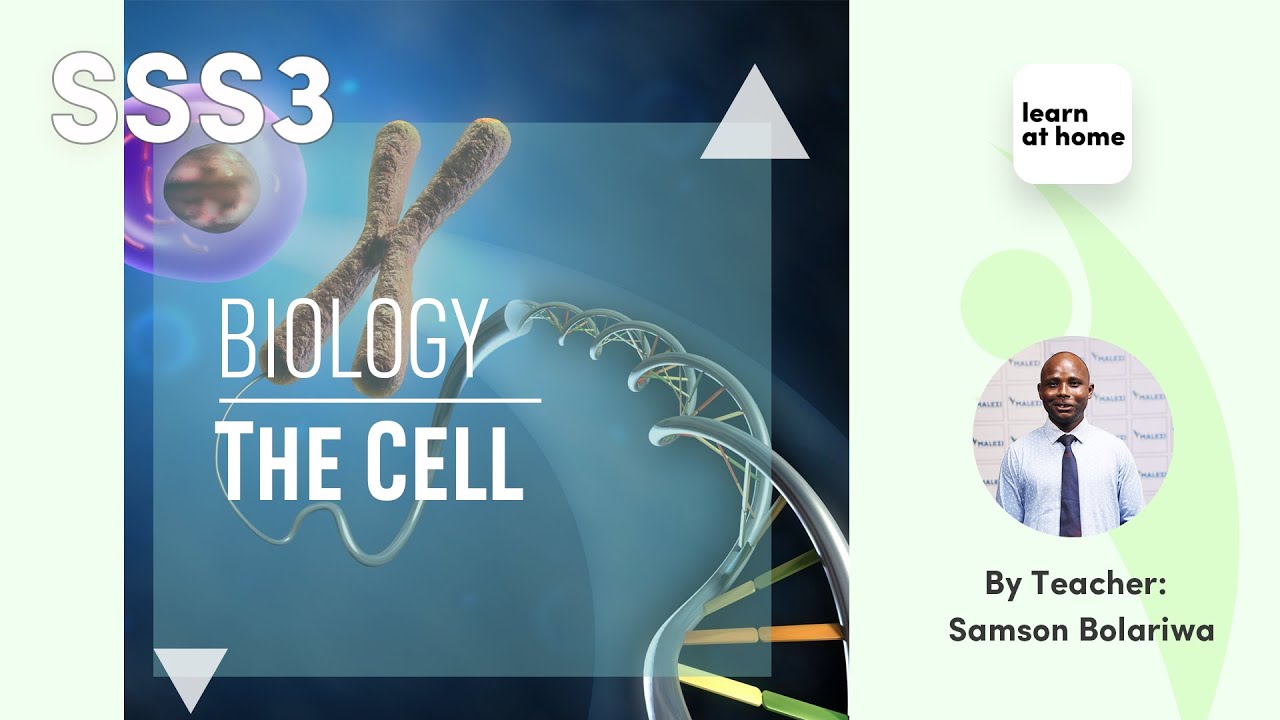 SSS3 Biology: The Cell