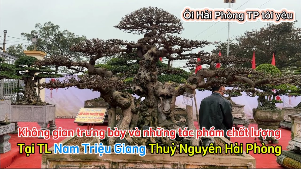 Quảng Tùng| Chia sẻ Quý vị Quá chất lượng cho một cuộc TL Phường NAM TRIỆU GIANG Thuỷ Nguyên HP