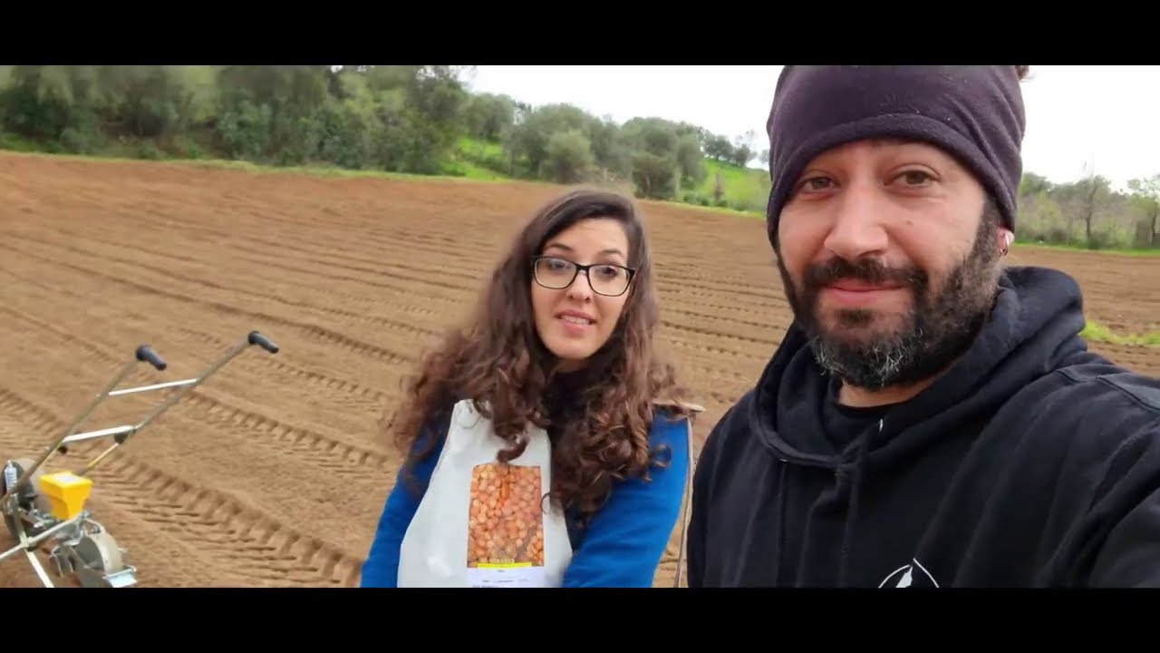 La seminatrice Bassi  in campo!