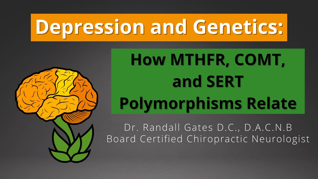 Depression and Genetics: How MTHFR, COMT, and SERT polymorphisms relate.