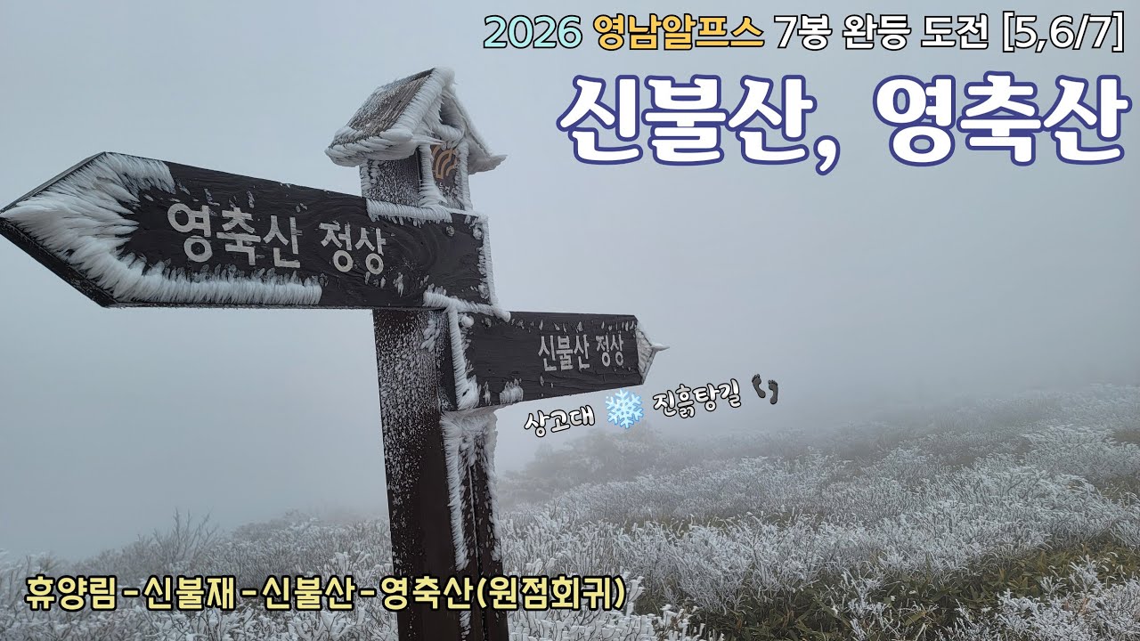 신불산, 영축산/2026 영남알프스 7봉 완등 도전 [5,6/7]/휴양림출발/상고대/진흙탕길