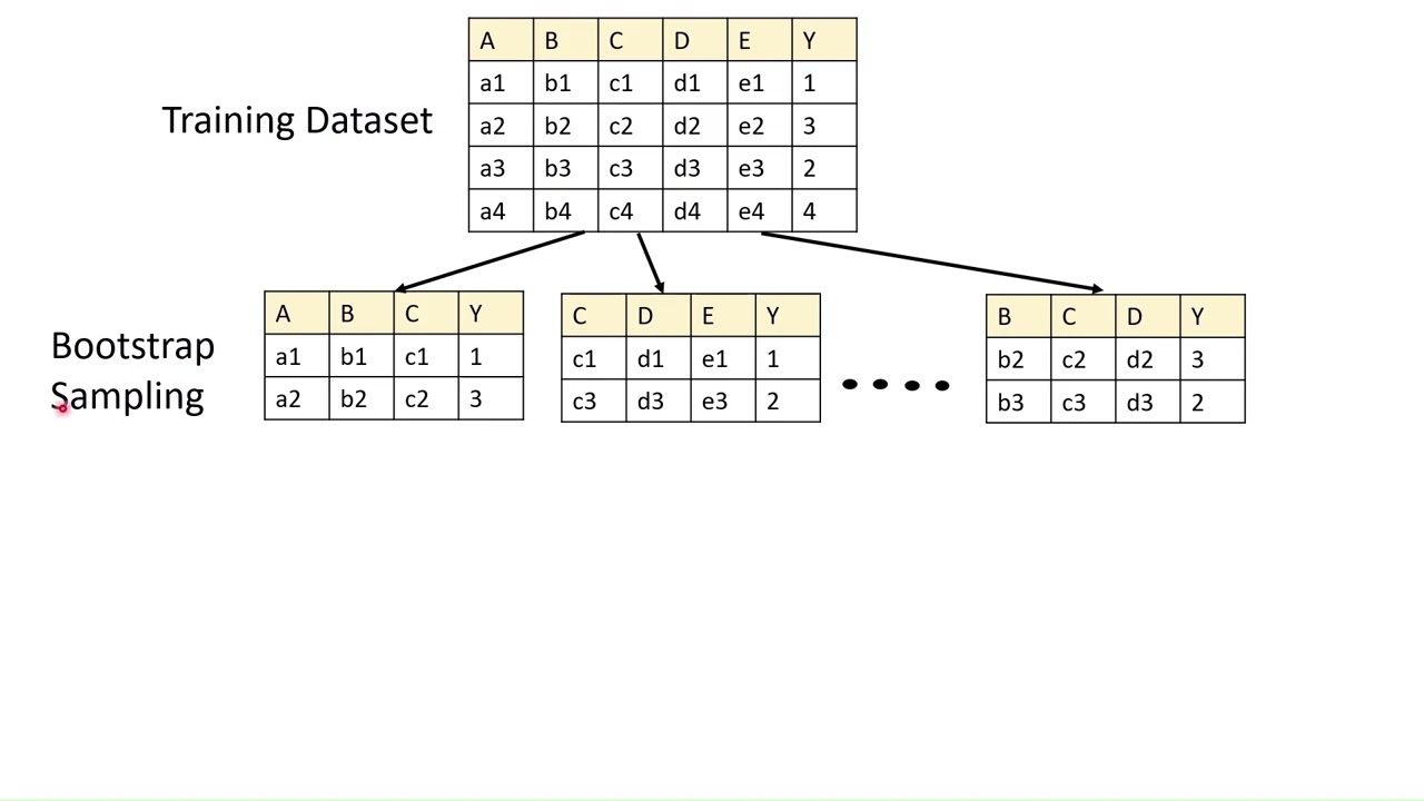 Random Forest Algorithm | Machine Learning | 14 | Tamil