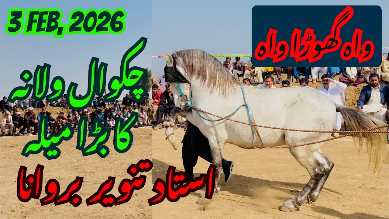 Ghora dance mela at chakwal walana | Ustad tanveer barwana ka ghoron 🎠 ka dance | #horsedance 