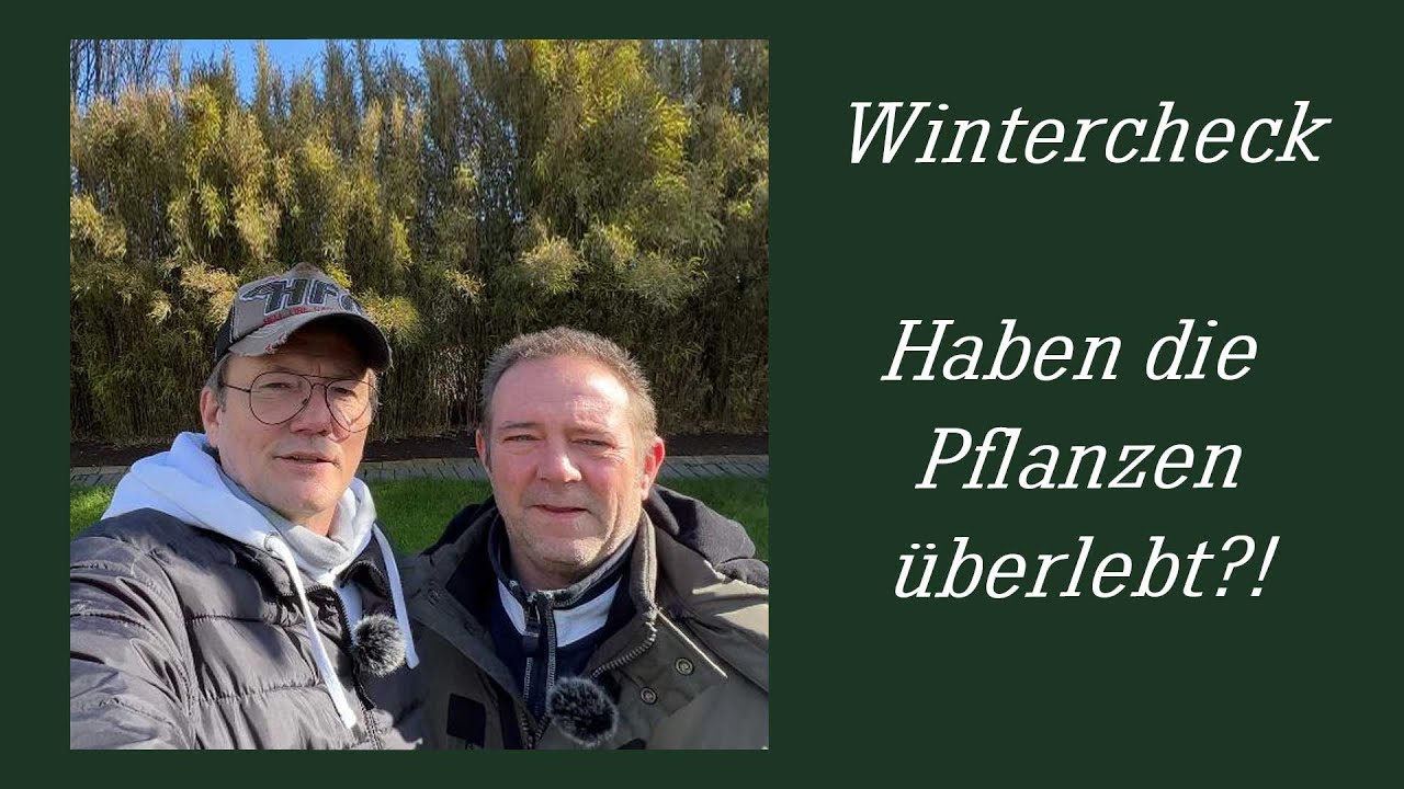 Wintercheck Haben die Pflanzen überlebt ?