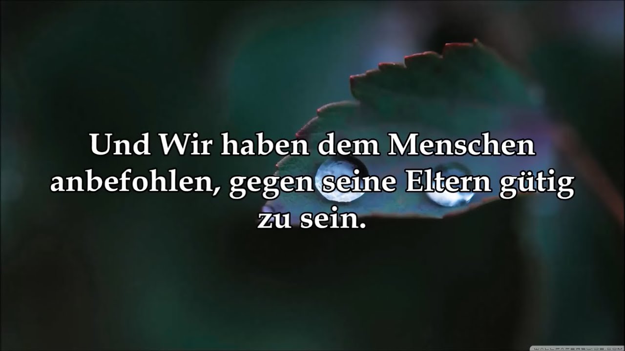 Koran auf deutsch Sura 46 