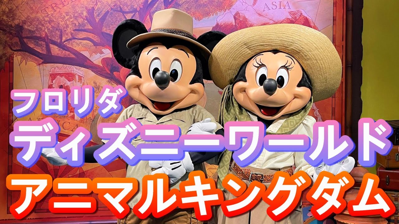 フロリダディズニーアニマルキングダム2023年10月