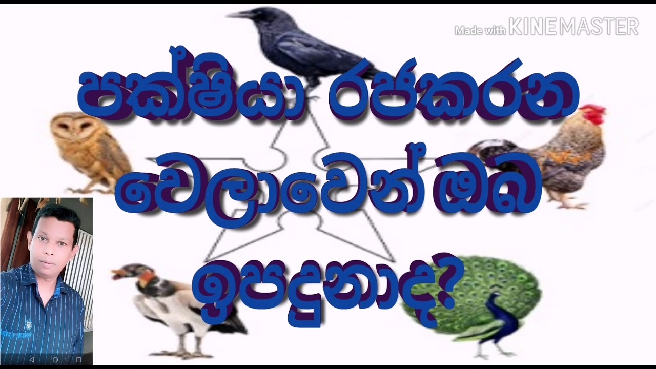 #Srilanka Sinhala Horoscope #regime?#පක්ෂියා රජකරන වේලාවේ ඔබ ඉපදුනාද?