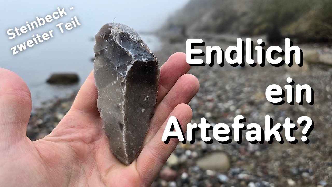 Hab ich endlich ein Artefakt gefunden? Fossilien suchen an der Ostsee