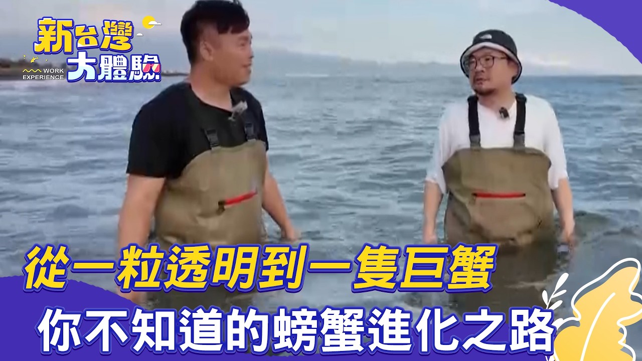 【新台灣大體驗】從一粒透明到一隻巨蟹：你不知道的螃蟹進化之路｜廖慶學 2025.07.12 完整版