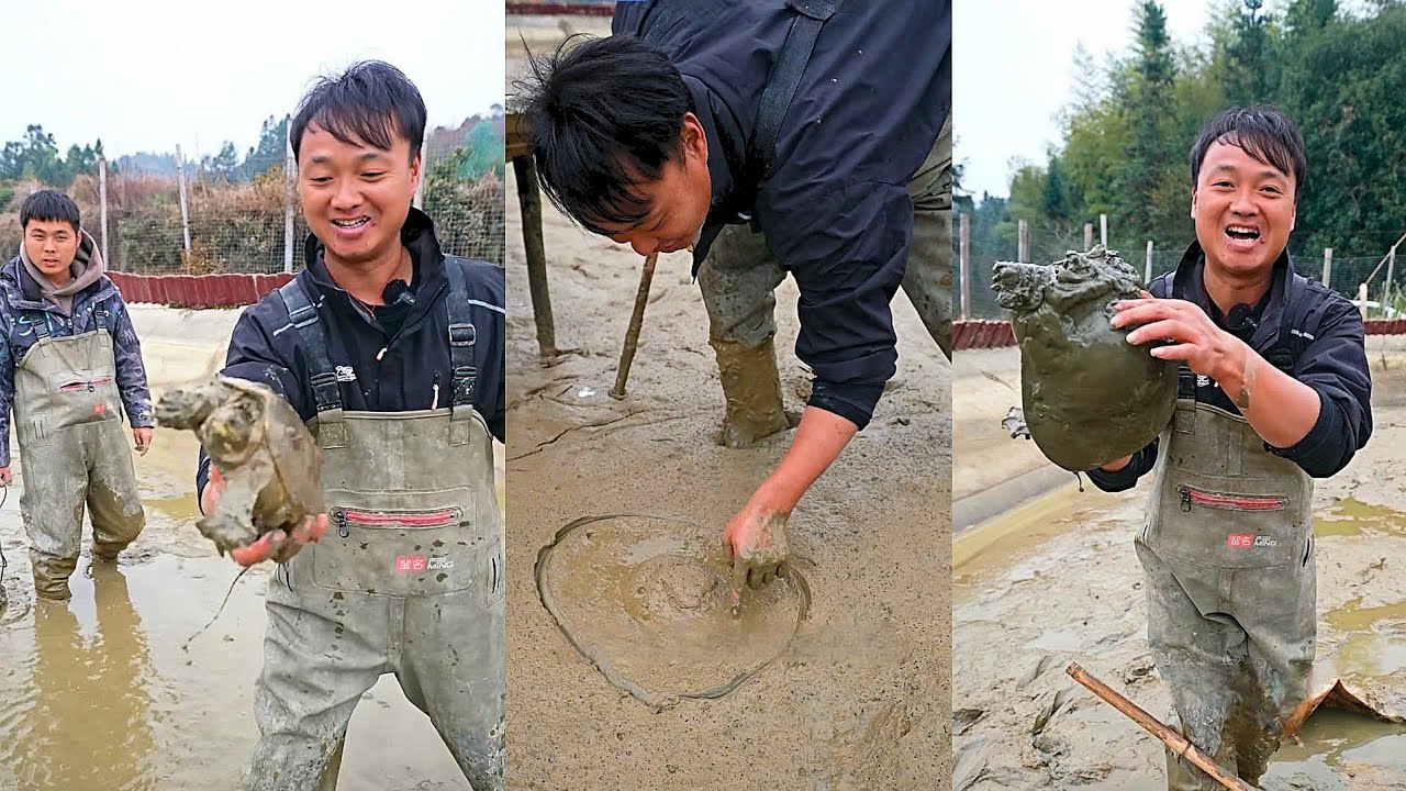 Chi 1500 bao ao ba ba cạn nước, còn sót lại con nào không