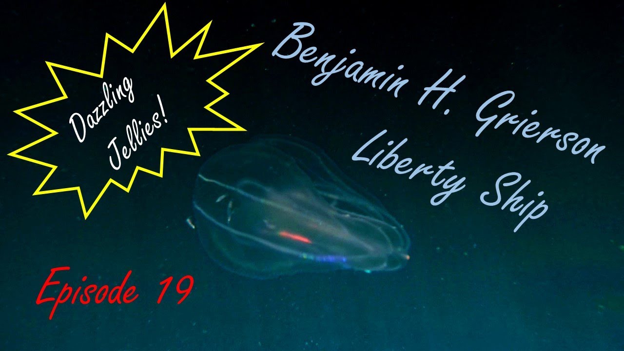 Episode 19 - Scuba Diving the 