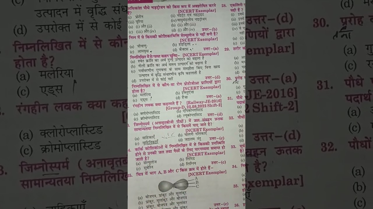 # पादप आकारकी full objective part 1