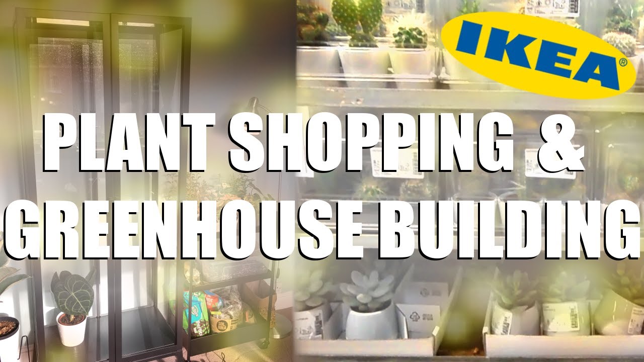 HOUSEPLANT SHOPPING AT IKEA & BUILDING MY IKEA MILSBO GREENHOUSE CABINET | UK